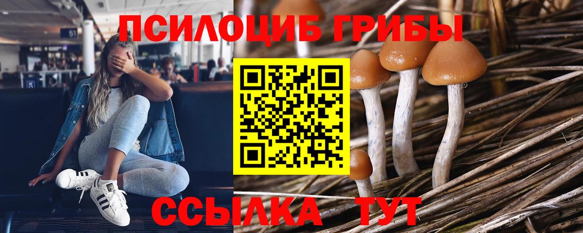 Галлюциногенные грибы Psilocybine cubensis  Вход с VPN  Пугачёв  Псилоцибиновые грибы GOLDEN TEACHER 