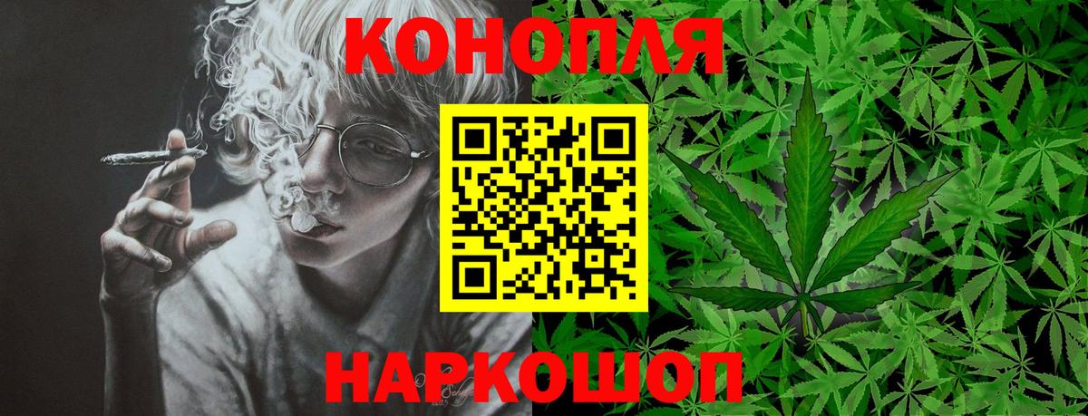 Шишки марихуана план Пугачёв